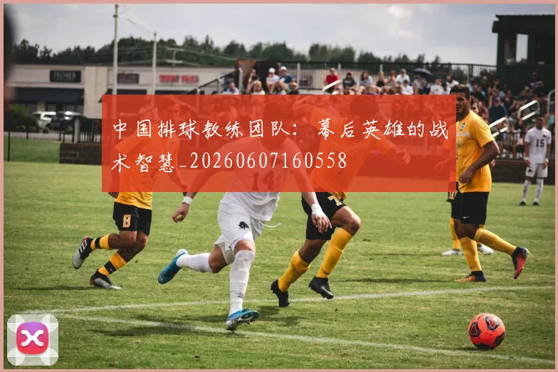 中国排球教练团队:幕后英雄的战术智慧_20260607160558