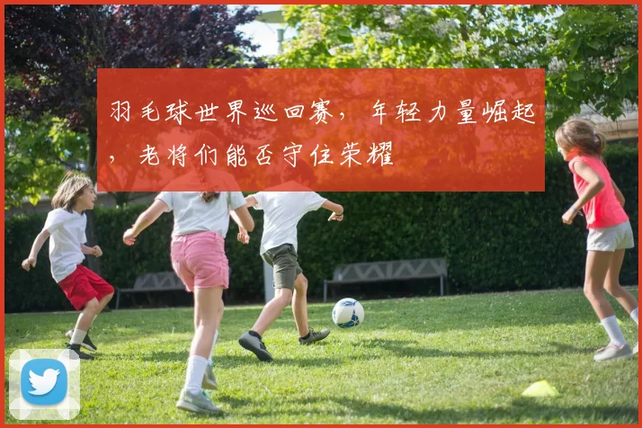 羽毛球世界巡回赛,年轻力量崛起,老将们能否守住荣耀